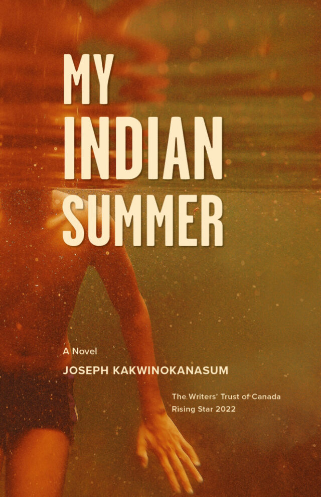 My Indian Sumer book cover